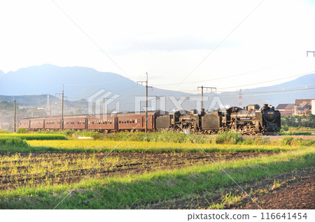 上越線 澀川-八木原 JR東日本 D51-498 + C58-363 + 老顧客 6B SL Juren Retro Minakami 116641454