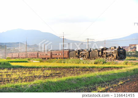 上越線 澀川-八木原 JR東日本 D51-498 + C58-363 + 老顧客 6B SL Juren Retro Minakami 116641455