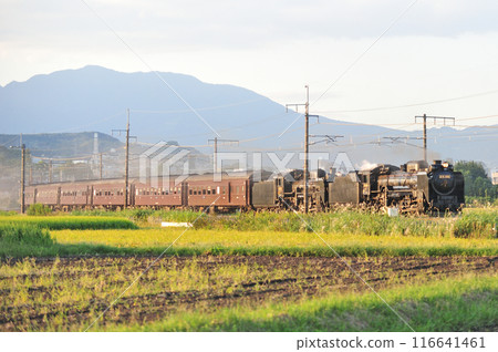 上越線 澀川-八木原 JR東日本 D51-498 + C58-363 + 老顧客 6B SL Juren Retro Minakami 116641461