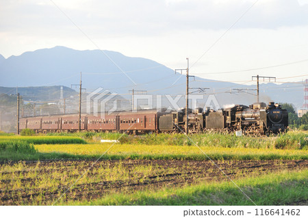 上越線 澀川-八木原 JR東日本 D51-498 + C58-363 + 老顧客 6B SL Juren Retro Minakami 116641462