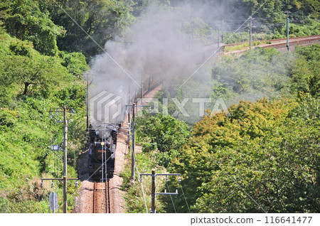 上越線 上牧水上 JR 東日本 D51-498 + C58-363 + 老顧客 6B SL 舉人復古水上 上越線 上牧水上 JR 東日本 D51-498 + C58-363 + 老顧客 6B SL 舉人復古水上 116641477