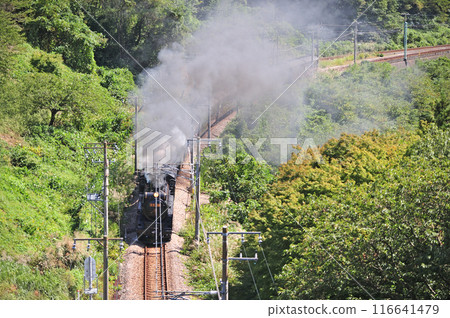 上越線 上牧水上 JR 東日本 D51-498 + C58-363 + 老顧客 6B SL 舉人復古水上 116641479