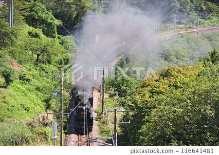 上越線 上牧水上 JR 東日本 D51-498 + C58-363 + 老顧客 6B SL 舉人復古水上 上越線 上牧水上 JR 東日本 D51-498 + C58-363 + 老顧客 6B SL 舉人復古水上 116641481