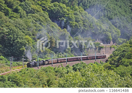 上越線 上牧水上 JR 東日本 D51-498 + C58-363 + 老顧客 6B SL 舉人復古水上 116641486