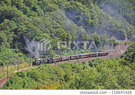 上越線 上牧水上 JR 東日本 D51-498 + C58-363 + 老顧客 6B SL 舉人復古水上 116641488