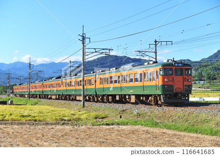 上越線五官沼田 JR 東日本 115 系列 T1041 編組(高崎) 上越線五官沼田 JR 東日本 115 系列 T1041 編組(高崎) 116641685