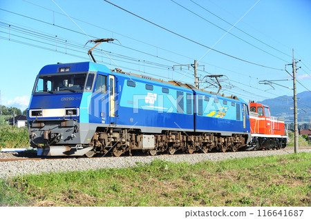 上越線沼田五館 JR Freight EH200-24(高崎)+ DE10-3513(東新潟) 上越線沼田五館 JR Freight EH200-24(高崎)+ DE10-3513(東新潟) 116641687