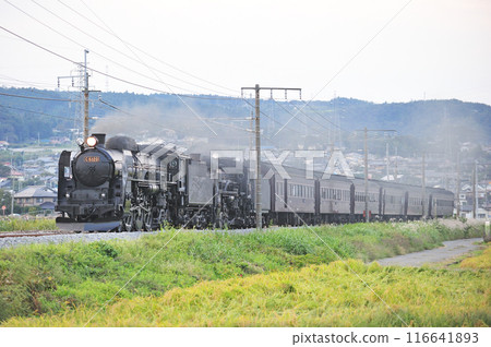 上越線 澀川-八木原 JR東日本 C61-20 + C58-363 + 老顧客 6B SL Juren Retro Minakami 116641893