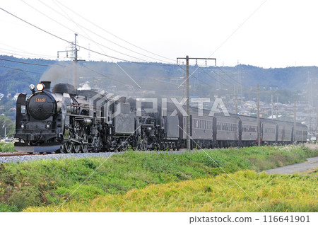 Joetsu Line Shibukawa-Yagihara JR East C61-20 + C58-363 + old passenger 6B SL double-unit Retro Minakami Joetsu Line Shibukawa-Yagihara JR East C61-20 + C58-363 + old passenger 6B SL double-unit Retro Minakami 116641901