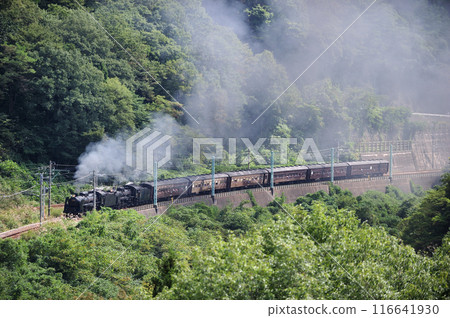 上越線 上牧水上 JR 東日本 C61-20 + C58-363 + 老顧客 6B SL 舉人復古水上 116641930