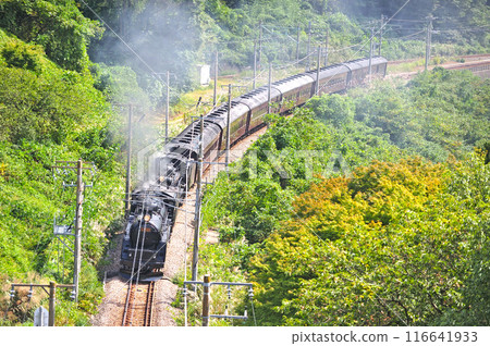 上越線 上牧水上 JR 東日本 C61-20 + C58-363 + 老顧客 6B SL 舉人復古水上 116641933