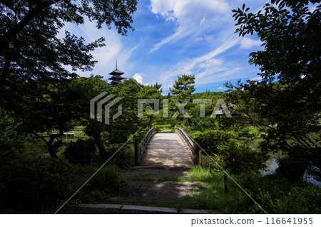 Sankeien Garden, a scenic spot and famous spot in Honmoku, Yokohama City, Kanagawa Prefecture / Summer at Sankeien Garden 116641955