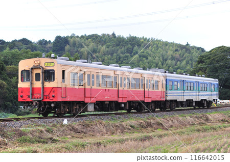 Kururi Line Higashikiyokawa-Yokota JR East Kiha 30-100 + Kiha 38-2 (Makuhari) 116642015