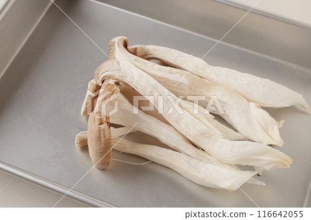 蝙蝠中撕碎的平菇 116642055