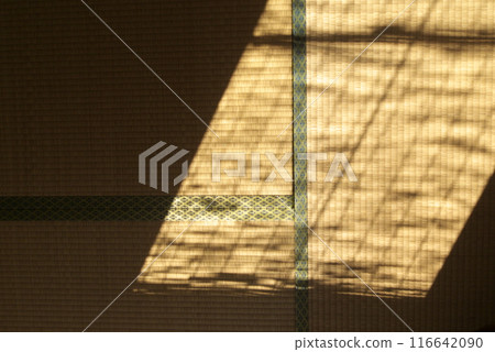 Shadows of Japanese tatami mats and bamboo blinds 116642090
