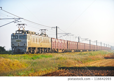 羽越本線 中浦月岡 JR 貨運 EF81-303(門司) 羽越本線 中浦月岡 JR 貨運 EF81-303(門司) 116642093