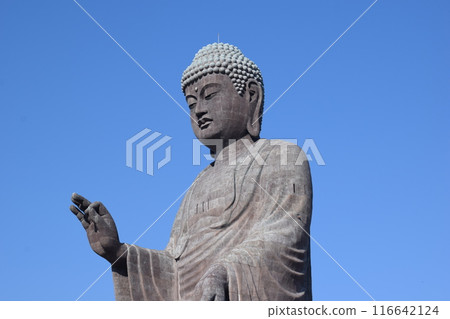 Ushiku Daibutsu The world's largest bronze statue 116642124