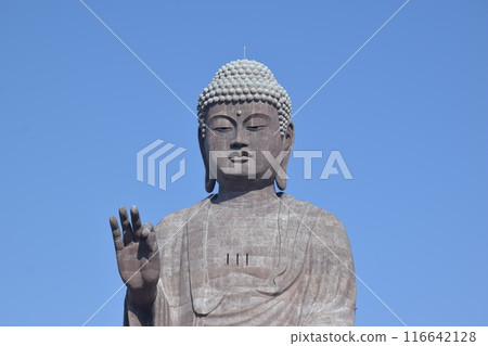 Ushiku Daibutsu The world's largest bronze statue 116642128