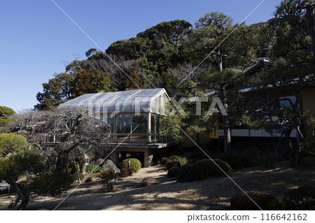 Former Shigeru Yoshida 116642162