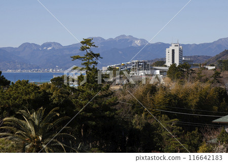 前吉田茂 116642183