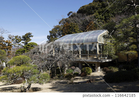 前吉田茂 116642185