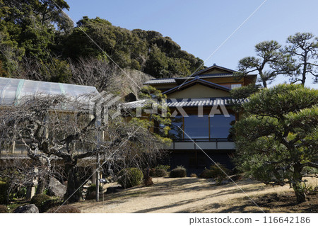 前吉田茂 116642186