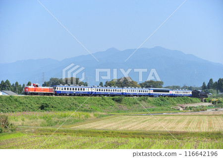 磐越西線 薩爾瓦達北越線 JR東日本 DE10-1680 + 12系 + C57-180 SL 秋風體驗 磐越西線 薩爾瓦達北越線 JR東日本 DE10-1680 + 12系 + C57-180 SL 秋風體驗 116642196