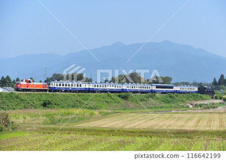 磐越西線 薩爾瓦達北越線 JR東日本 DE10-1680 + 12系 + C57-180 SL 秋風體驗 116642199