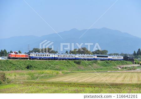磐越西線 薩爾瓦達北越線 JR東日本 DE10-1680 + 12系 + C57-180 SL 秋風體驗 116642201