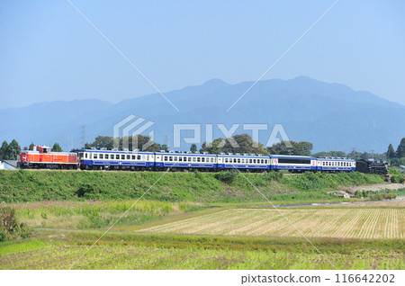 磐越西線 薩爾瓦達北越線 JR東日本 DE10-1680 + 12系 + C57-180 SL 秋風體驗 116642202