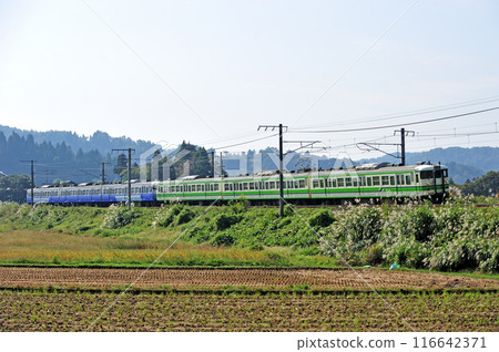 信越幹線 塚山~越後岩塚 JR東日本 115系 N10+N25編組(新潟) 信越幹線 塚山~越後岩塚 JR東日本 115系 N10+N25編組(新潟) 116642371