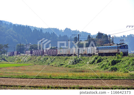 Shinetsu Main Line Tsukayama-Echigo Iwatsuka JR Freight Ef81-503 (Toyama) 116642373