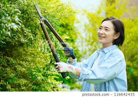 微笑的中年婦女照顧花園樹木 微笑的中年婦女照顧花園樹木 116642435
