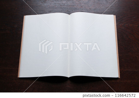 Blank notebook (synthetic material) Blank notebook (synthetic material) 116642572