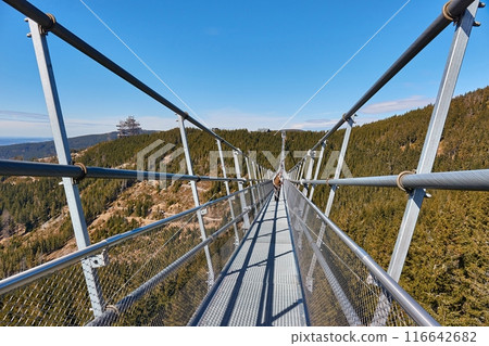 Skybridge 721 suspension footbridge, man walking through 116642682