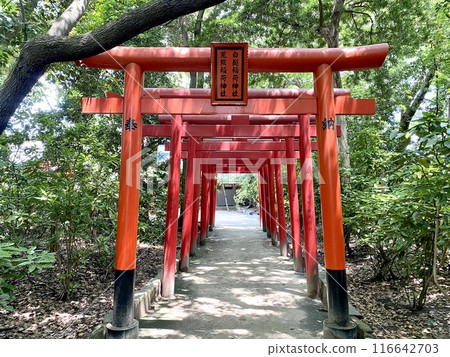 住在吉神社境內、白須稻荷神社 住在吉神社境內、白須稻荷神社 116642703