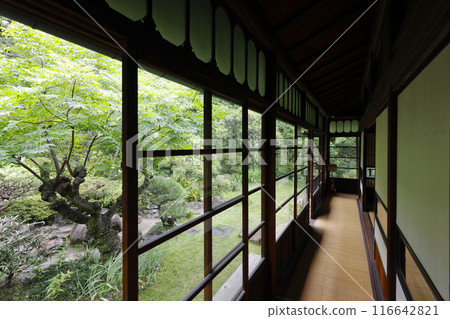 Pujie Aishin Pujie 116642821