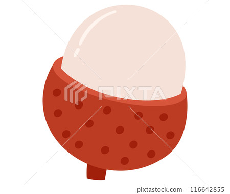 Fruit lychee in cartoon hand drawn simple style. Editable variable color. Fruit lychee in cartoon hand drawn simple style. Editable variable color. 116642855