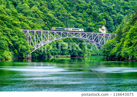 福島只見線夏季列車穿越第一艘見川大橋 116643075