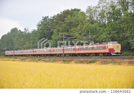 信越本線 安中群馬八幡 JR東日本 183系 OM101編隊（大宮） 旅行禮品 116643081