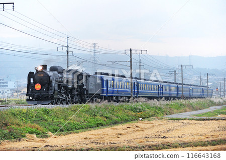 Joetsu Line Shibukawa-Yagihara JR East C61-20+12 series (Takasaki) SL Minakami 116643168