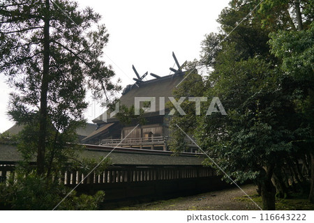 你的主殿 你的主殿 116643222