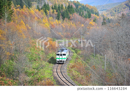 石北本線 生田原金華 JR 北海道 Kiha 40-732(旭川) 石北本線 生田原金華 JR 北海道 Kiha 40-732(旭川) 116643284