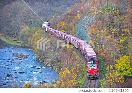 石北幹線 白瀧下 白瀧 JR Freight DD51-1047(鷲別)+ Koki + DD51-1089(鷲別) 石北幹線 白瀧下 白瀧 JR Freight DD51-1047(鷲別)+ Koki + DD51-1089(鷲別) 116643295