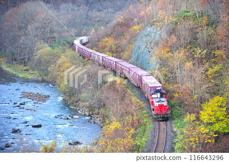 石北幹線 白瀧下 白瀧 JR Freight DD51-1047(鷲別)+ Koki + DD51-1089(鷲別) 石北幹線 白瀧下 白瀧 JR Freight DD51-1047(鷲別)+ Koki + DD51-1089(鷲別) 116643296
