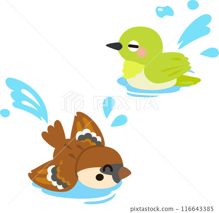 Sparrow and white-eye characters bathing in water Sparrow and white-eye characters bathing in water 116643385