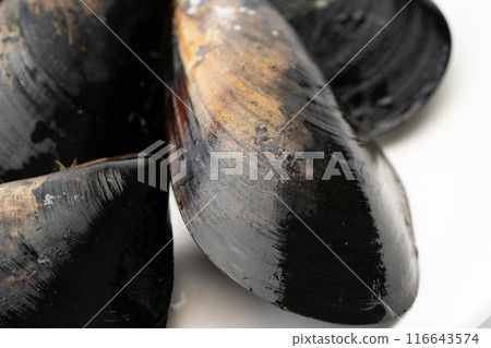 Raw mussels close-up Raw mussels close-up 116643574
