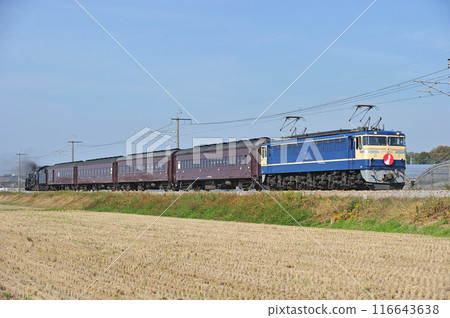 Ryomo Line Komagata-Isehara JR East EF65-501 + old passenger car + C61-20 (Takasaki) Test run 116643638