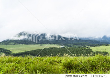 從霧峰高原維納斯丘陵眺望屋島原濕地 從霧峰高原維納斯丘陵眺望屋島原濕地 116643739