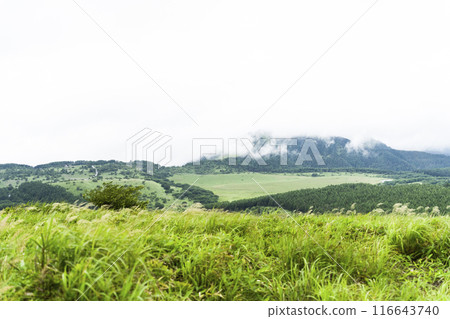 從霧峰高原維納斯丘陵眺望屋島原濕地 從霧峰高原維納斯丘陵眺望屋島原濕地 116643740